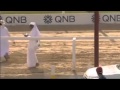 مقطع مضحك من سباق الهجن في قطر