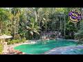 Sepilok Jungle Resort | Sandakan, Malaysia | Hotel Review 🌟
