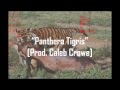 Chester Watson Panthera Tigris Prod Caleb Crowe Chester Watson Panthera Tigris Prod Caleb Crowe