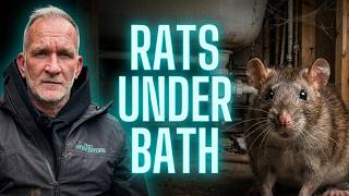 Rats Under His Bath! Imagine That Horror!