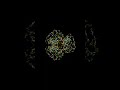 Particles obey the math of the deep. Generative art or living code? #Shorts