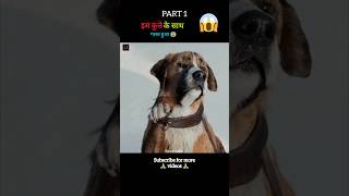 The Call Of The Wild  Movie Explain In Hindiurdu shorts