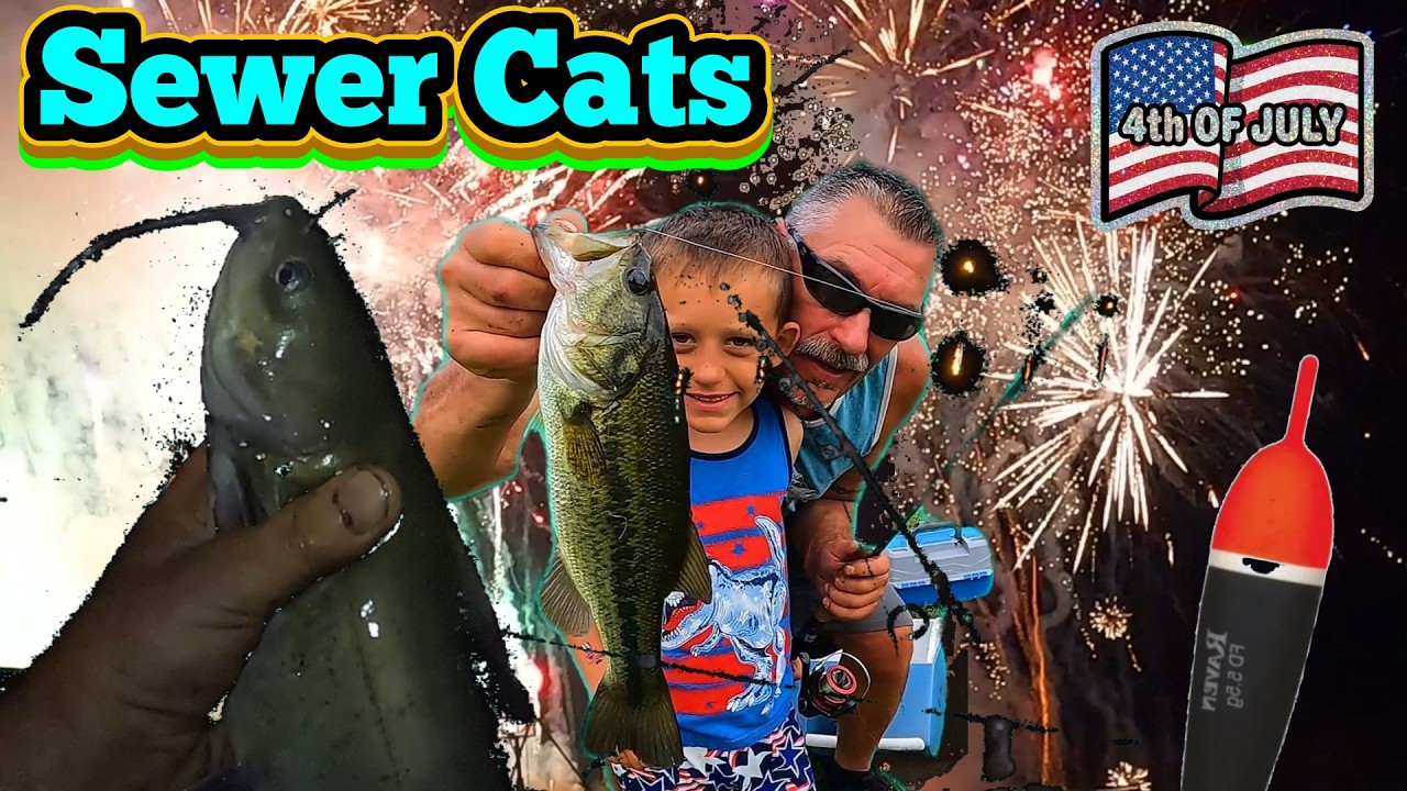 Fishing Summer Sewer Cats