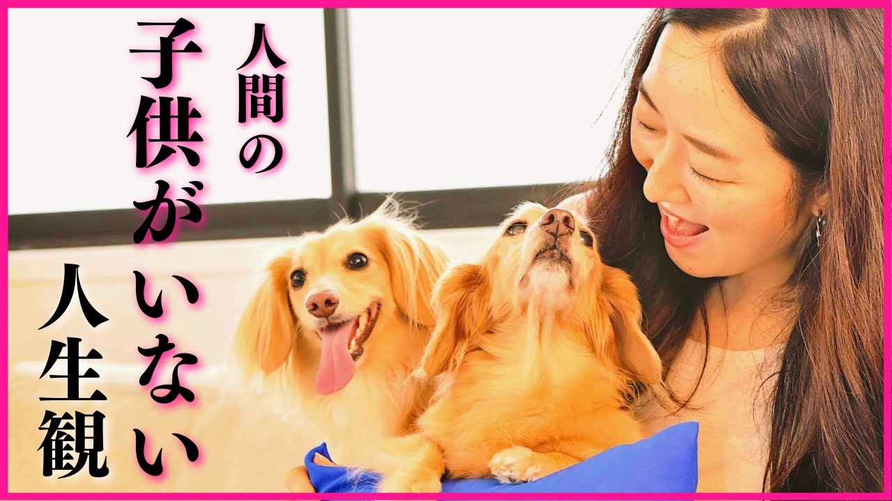 ダックスママ 人間の子供がいない愛犬家ダックスママの人生観 - YouTube