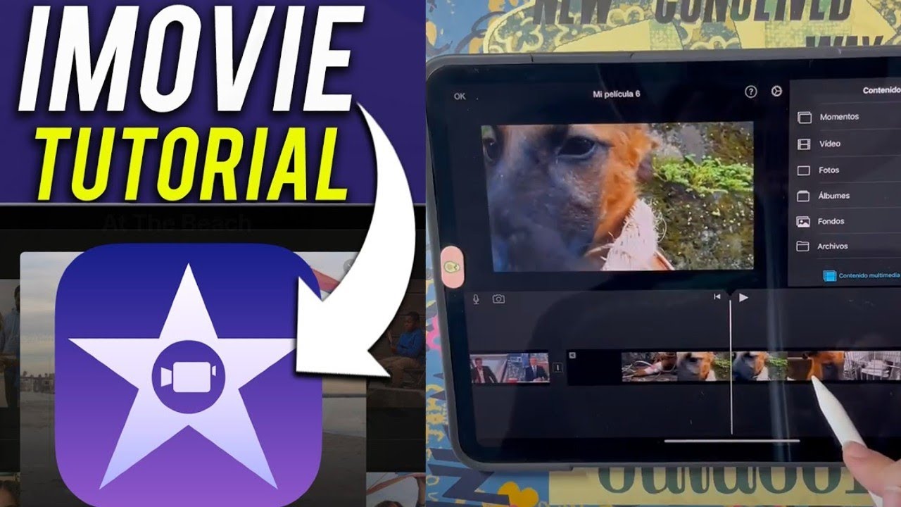 Tutorial de iMovie para iPad para Principiantes 2023 - YouTube
