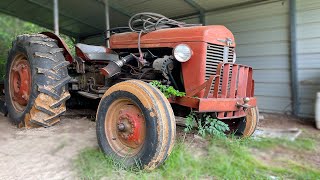 Barn Find Massey Ferguson! Will It Start and Brush Hog after years of sitting?