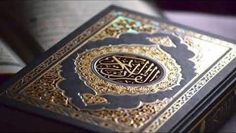 《سورة النصر 》 الشيخ محمد عبد البارى