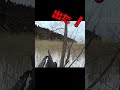 【爺マ流】 冬のカモ猟 水路攻め #shorts