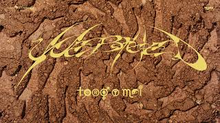 Toro Y Moi - Babydaddy Unerthed Official Audio