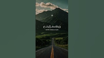 #quran #اكسبلور #راحة_نفسية #المصحف #تلاوات #قران_كريم #لايك #الرحمن
