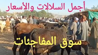 أجمل أسعار وأجمل فديو للبقر الوالد والعشر والحلاب بسوق الخميس اليوم ٩/ ٥/ ٢٠٢٤م