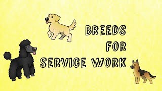 Breeds for Service Work