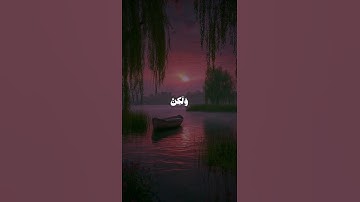 سورة القصص | الآية 55-56.