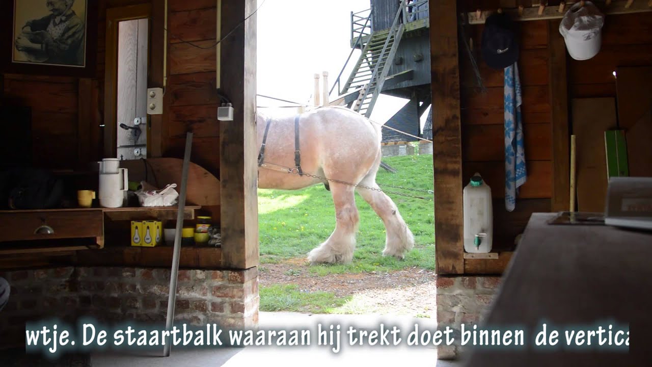 2015 Rullegem def  1920*1080