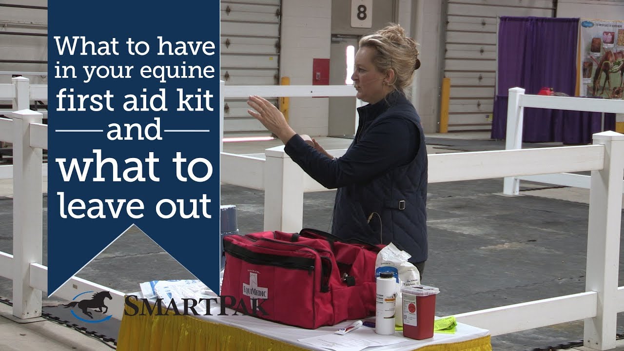 What to have in your equine first aid kit and what to leave out YouTube