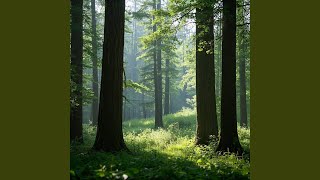 Padang di Balik Langit