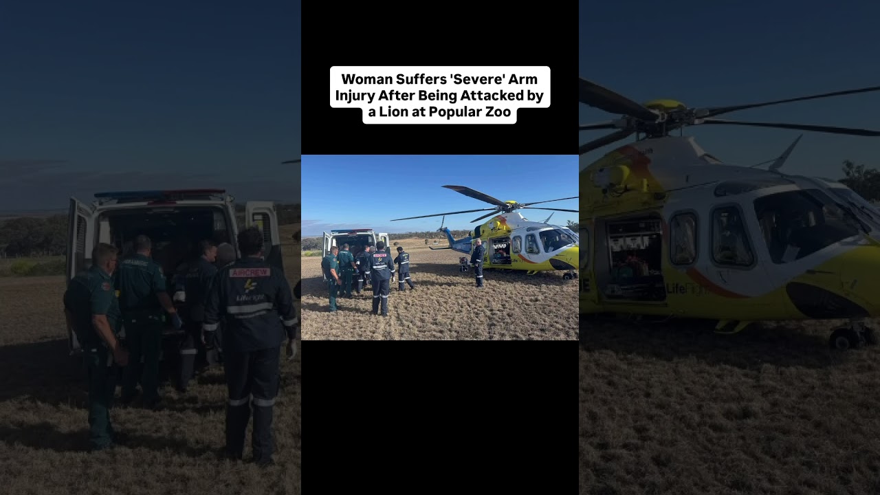 Woman Suffers 'Severe' Arm Injury After Being Attacked by a Lion at Popular Zoo