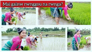 माय गायनाय / Bodo Women Working in Paddy Field // Mousumi