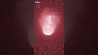 3DforScience Crohn s disease