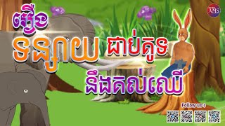 នាទីនិទានកំសាន្ត៖ រឿង &quot;ទន្សាយជាប់គូទនឹងគល់ឈើ&quot;