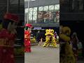 Dikejar Barongsai!!