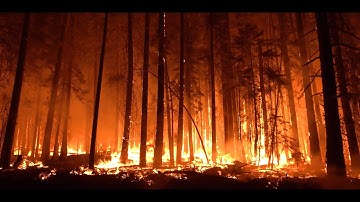 World Risk Poll: Understanding vulnerability in a changing climate