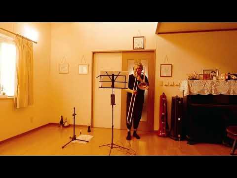 サボテンの花 YouTube