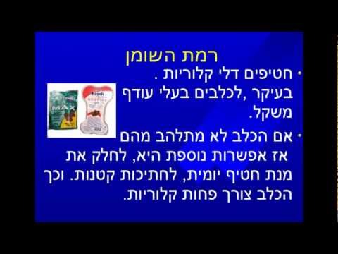 וִידֵאוֹ: איך לבחור פינוקים לכלבים