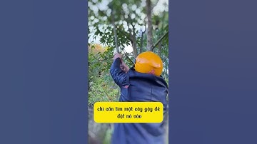 Liềm thép mangan cắt tỉa cành cây trên cao, làm sạch cỏ dại và chăm sóc cây cối