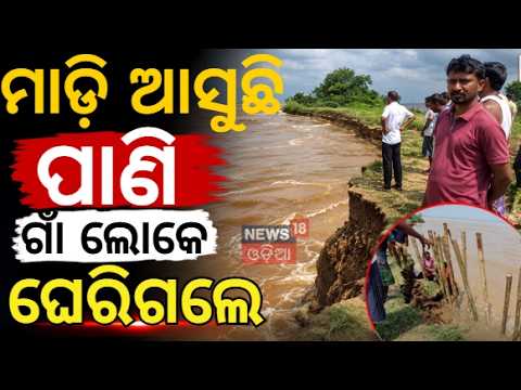 ବିପଦ ସଙ୍କେତ ଉପରେ ମହାନଦୀର ଶାଖା ନଦୀ! Puri Flood Crisis | Mahandi Flood News | Rain in Odisha