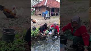 Kehidupan pelosok kampung rumah di pinggir kali #cianjurturunankidul