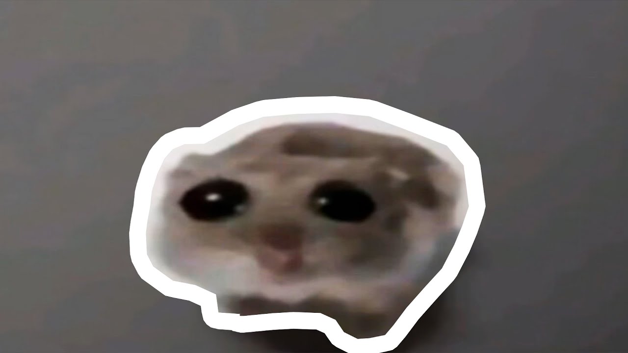 Грустный хомяк мем 2025