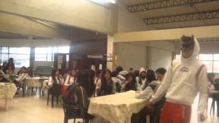 PRIMER HARLEM SHAKE LICEO UDENAR G-301