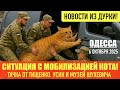 ОДЕССА 6 ОКТЯБРЯ 2025. ГИМН РОССИИ В КИЕВЕ. ПОТОП В ОДЕССЕ - СЛЕДСТВИЕ РУССКОГО ЯЗЫКА И ПЕСЕН.