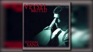 Veysel Mutlu - Memleketim Senden Ayrı Resimi