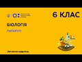 6 клас. Біологія. Папороті (Тиж.1:ЧТ)