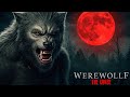 WEREWOLF THE CURSE Action Movie Full Movie In English Hollywood Horror Adventure Movie 