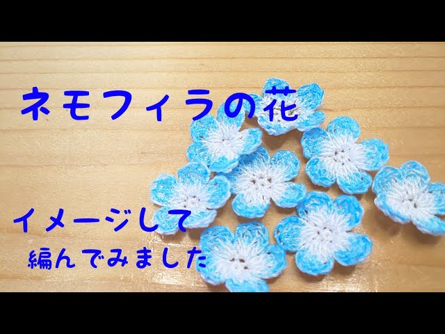 ネモフィラ 白詰草 のお花 枯れない花 編みぐるみ ネモフィラ畑🩵お花