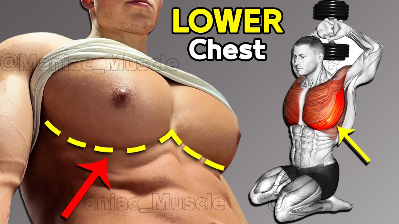ЛУЧШИЕ УПРАЖНЕНИЯ ДЛЯ НИЖНЕЙ ЧАСТИ ГРУДНОЙ КЛЕТКИ (Очень эффективные)