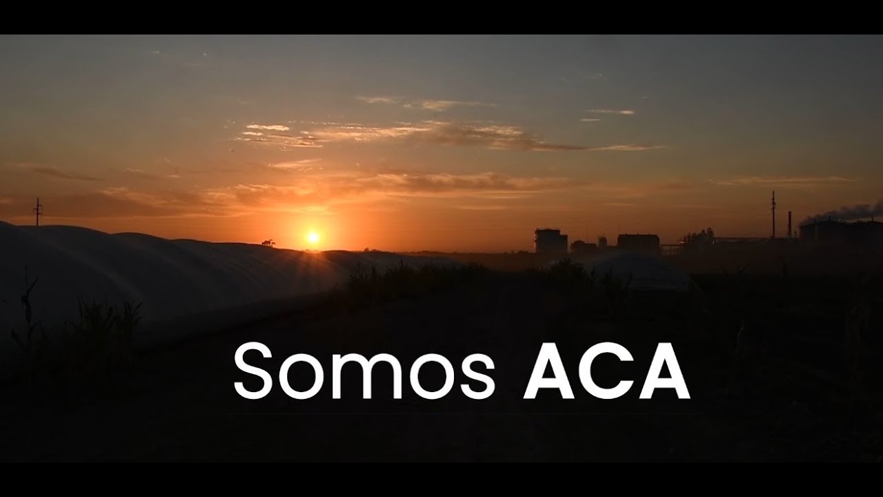 Somos ACA - Video Institucional 2019 - YouTube