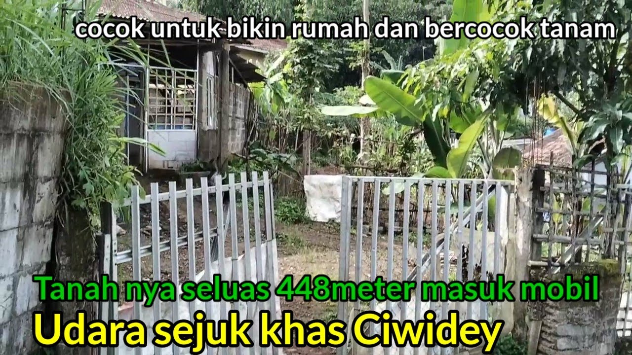 Kampung rancabolang Ciwidey Ada tanah 448meter di tawarkan 150jt nego surat SHM