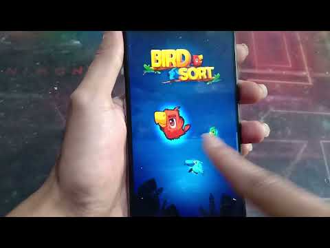 HANDCAM PLAY & REVIEW GAME ANDROID: COLOR BIRD SORT PUZZLE
