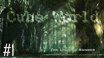 Cube World - Part 1: The Undead Ranger