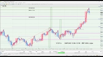 しんたろうのfx勉強会 Youtube