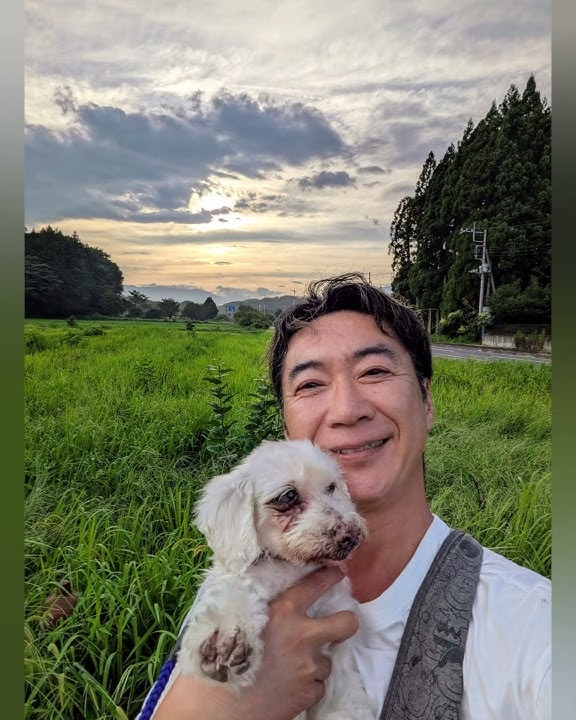 Download lagu 雨上がりの散歩