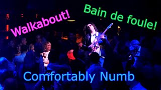 Comfortably Numb *Live* WALKABOUT - Cover - Nuno Resende (Youri De Groote lead guitar)