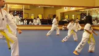 Taekwondo Yellow Belt Poomsae - Taeguek Il Jahng