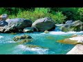 Calming River Stream Live 24/7 – Gentle Water Flow &amp; Green Noise for Sleep &amp; Relaxation
