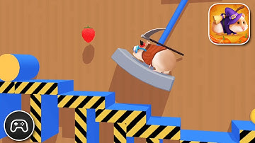 Hamster Maze - Gameplay Walkthrough Part 8 - Basic Solution Levels 24-27 (iOS, Android)