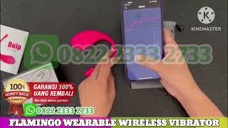 Review ** Flamingo Wearable Wireless Vibrator Tercanggih - Alat Bantu Getar Wanita Remote Control 